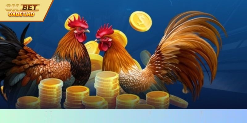 Cam kết minh bạch và hấp dẫn khi tham gia