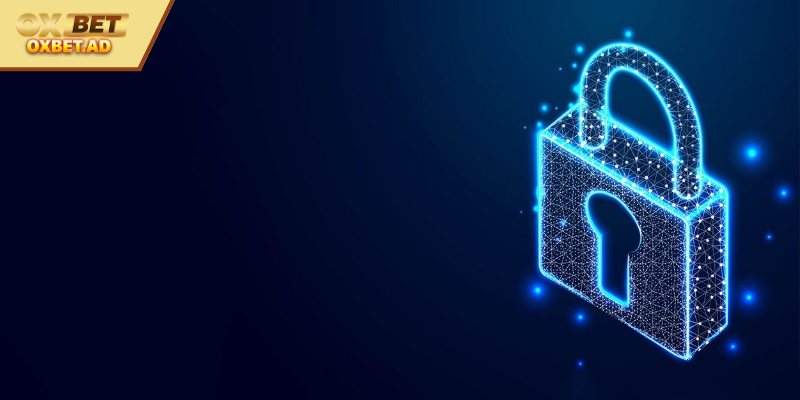 Dữ liệu cá nhân được thu thập bởi OXBET