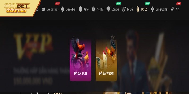 Giới thiệu về đá gà OXBET cho người chơi