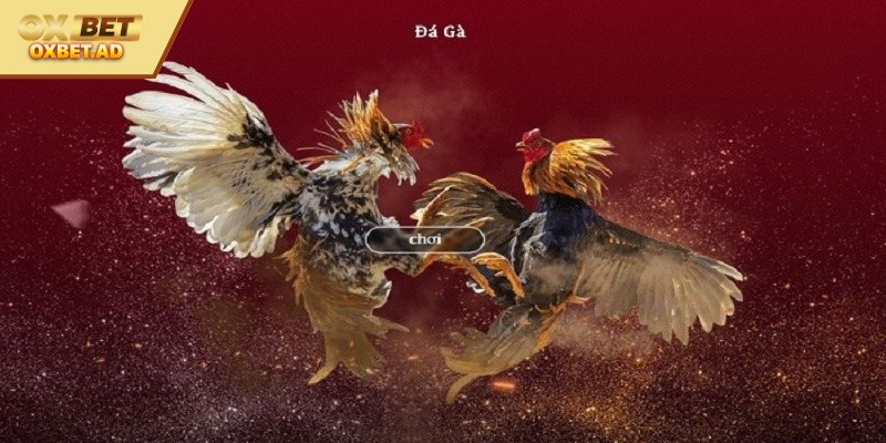 Mức cược linh hoạt thu hút mọi cược thủ