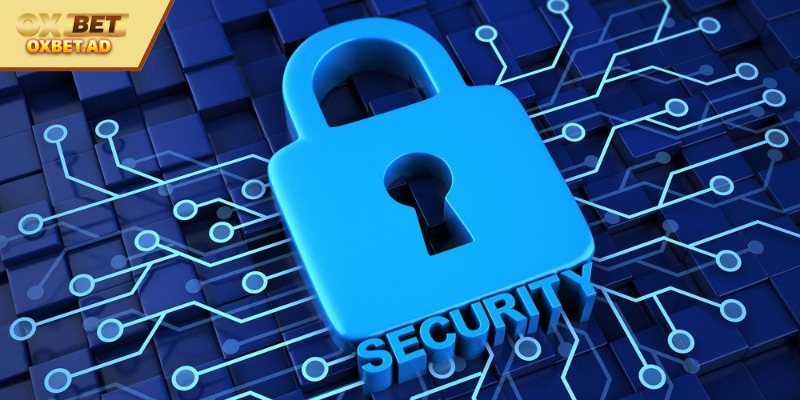 Tổng quan chung về chính sách bảo mật của OXBE